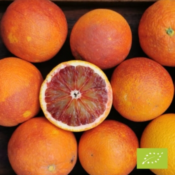 apelsīni Tarocco Rosso lielie BIO kastē 11 kg