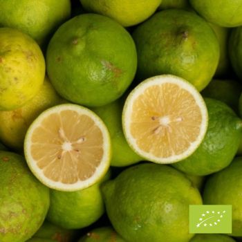 citroni BIO kastē 6 kg