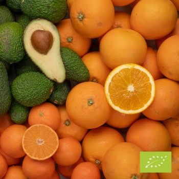 Navelina 7,5 kg + klementīni 2 kg + Hass 2 kg