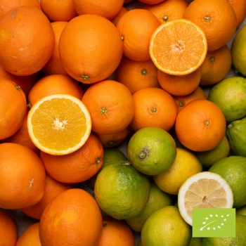 Navelina 7,5 kg + citroni 2 kg + klementīni 2 kg