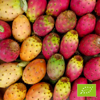 opuncijas augļi BIO 500 g