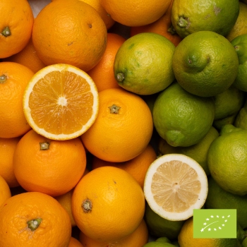 Tarocco 9,5 kg + citroni 2 kg