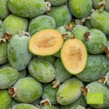 feijoa BIO 500 g