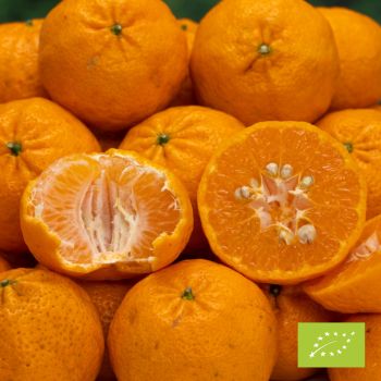 mandarīni BIO kastē 12 kg